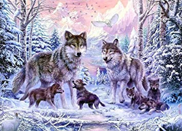 Wolf Drawing Kit Set Diamond Painting Handarbeit Basteln Mosaik Bild Wolf Wolfe