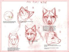 Wolf Drawing Lessons 109 Best Wolf Images Wolf Drawings Art Drawings Draw Animals