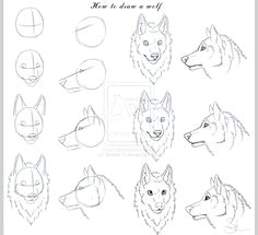 Wolf Drawing Lessons 75 Best Draw A Wolf Images Drawing Techniques Drawing Tutorials