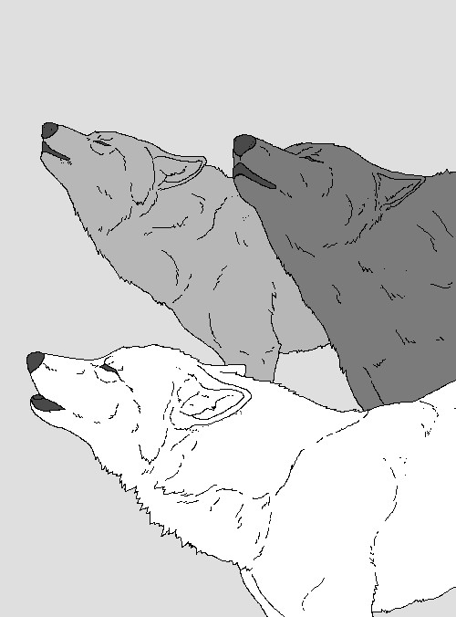 Wolf Drawing Line Art Singing Wolves Lineart thesodasmuggler by Bella50224 On Deviantart