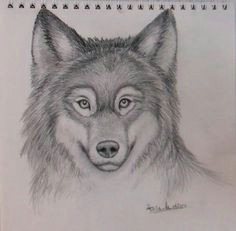 Wolf Drawing Mark Crilley 14 Best Mark Crilley Images On Pinterest Drawing Techniques Art