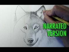 Wolf Drawing Mark Crilley 276 Best Draw Animals Images Sketches Of Animals Animal Drawings