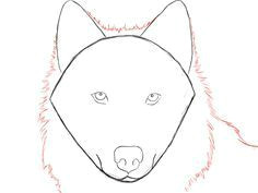 Wolf Drawing Mark Crilley How to Draw A Wolf Face Google Search Wolves Drawings Art