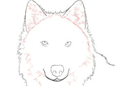 Wolf Drawing Mark Crilley How to Draw A Wolf Face Google Search Wolves Drawings Art