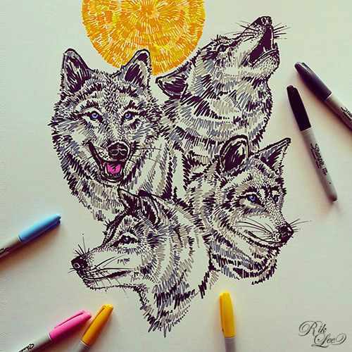 Wolf Drawing Markers and Out Come the Wolves Last Year I Put Down the Pencils for A Few