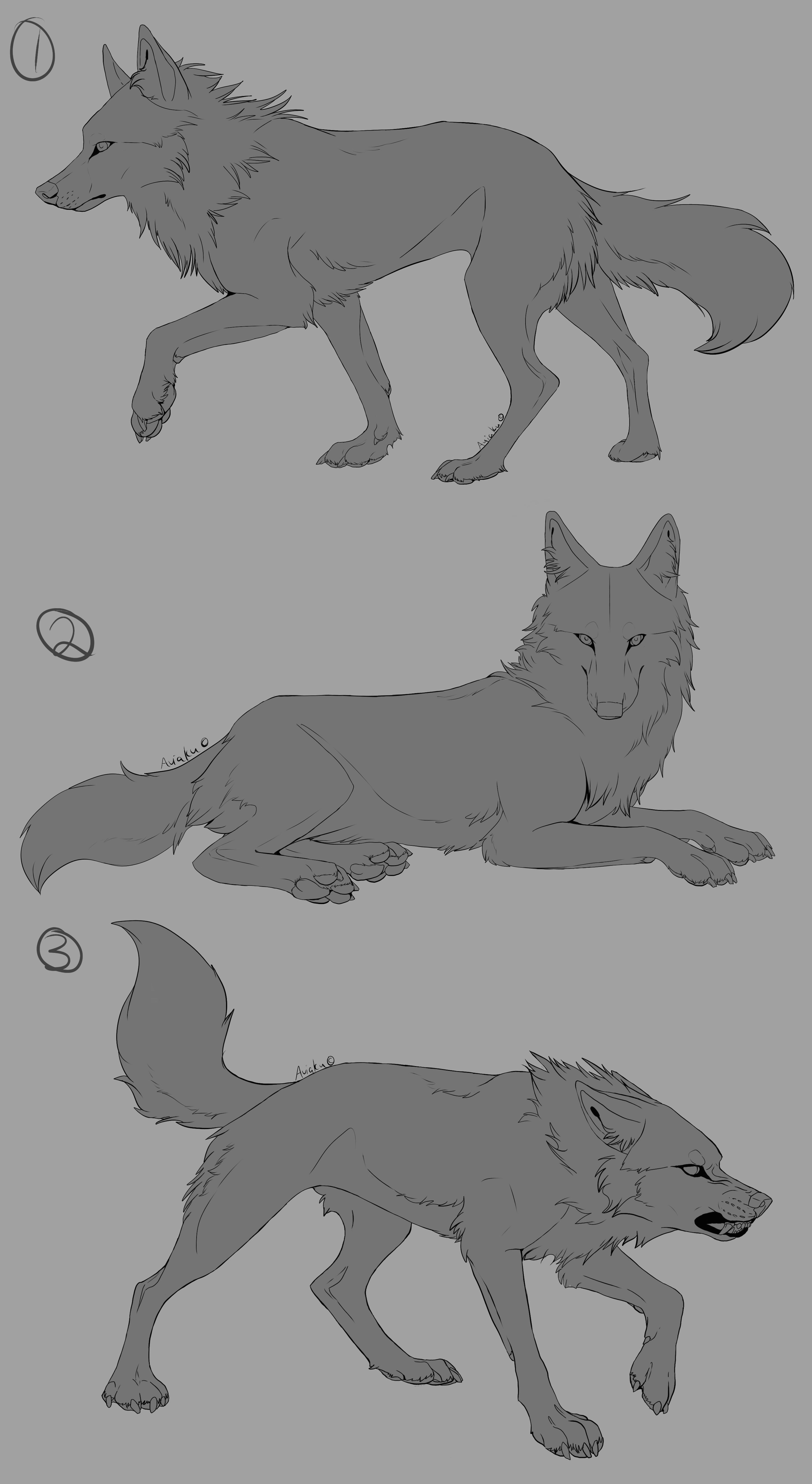 Wolf Drawing Positions Pin by Immortal soul Of Art On My References In 2019 Drawings Art