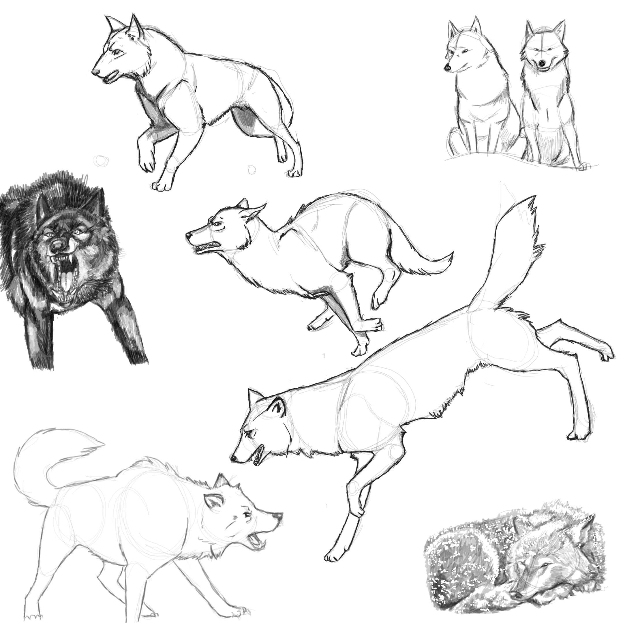 Wolf Drawing Positions Pin by Valerie Rosales Montero On Art Refernces Wolf Wolf Poses