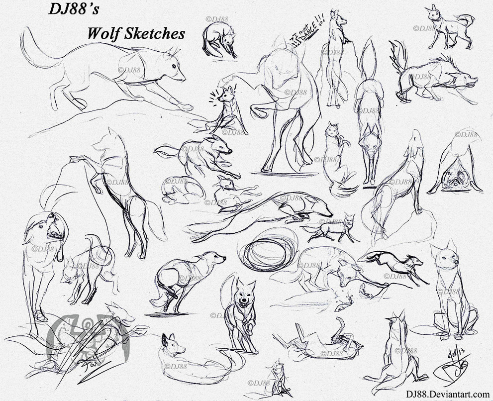 Wolf Drawing Positions Wolf Sketches 8 28 13 by Dj88 Drawing Studies Drawings Wolf