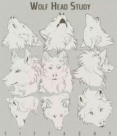 Wolf Drawing Ref 424 Best Werewolf Ref Images In 2019 Furry Drawing Furry Wolf