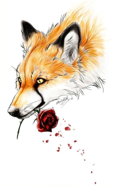 Wolf Drawing Rose Pin by Paige Renfro On Fox Fox Art Drawings Fox Tattoo