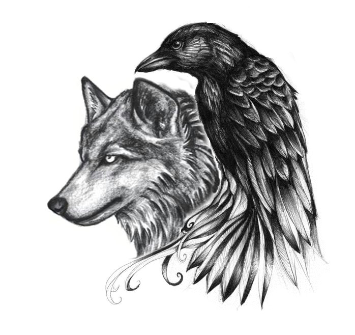 Wolf Drawing Small Ravenwolf Google Search Adelle Leclair Tattoos Raven Tattoo