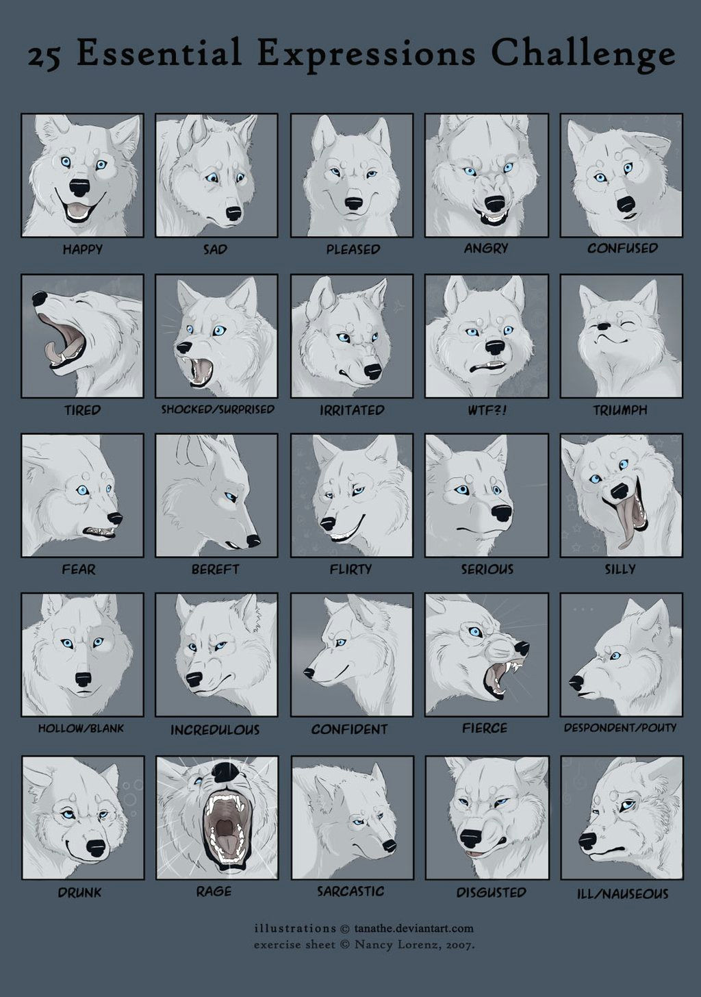 Wolf Drawing Styles 25expressions Challenge Wolf by Tanathe Deviantart Com On