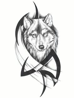 Wolf Drawing Tattoo Design 31 Best Cool Wolf Tattoo Designs Images Tattoo Ideas Tattoo Wolf
