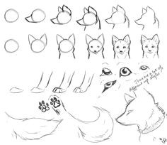 Wolf Drawing Tips 109 Best Wolf Images Wolf Drawings Art Drawings Draw Animals