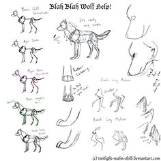 Wolf Drawing Tips 109 Best Wolf Images Wolf Drawings Art Drawings Draw Animals