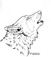 Wolf Drawing to Trace 332 Best Wolves Images Wolf Drawings Animal Drawings Art Drawings