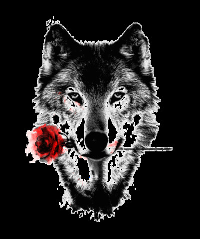 Wolf Drawing Transparent Romantic Wolf Tattoo Tattoos