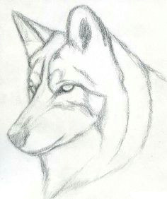 Wolf Drawing Tutorial Easy 337 Best How to Draw Animals Images Drawing Techniques Draw