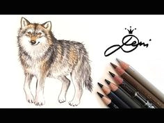 Wolf Drawing Tutorial Youtube Die 22 Besten Bilder Von Realistisch Zeichnen Lernen Tutorials