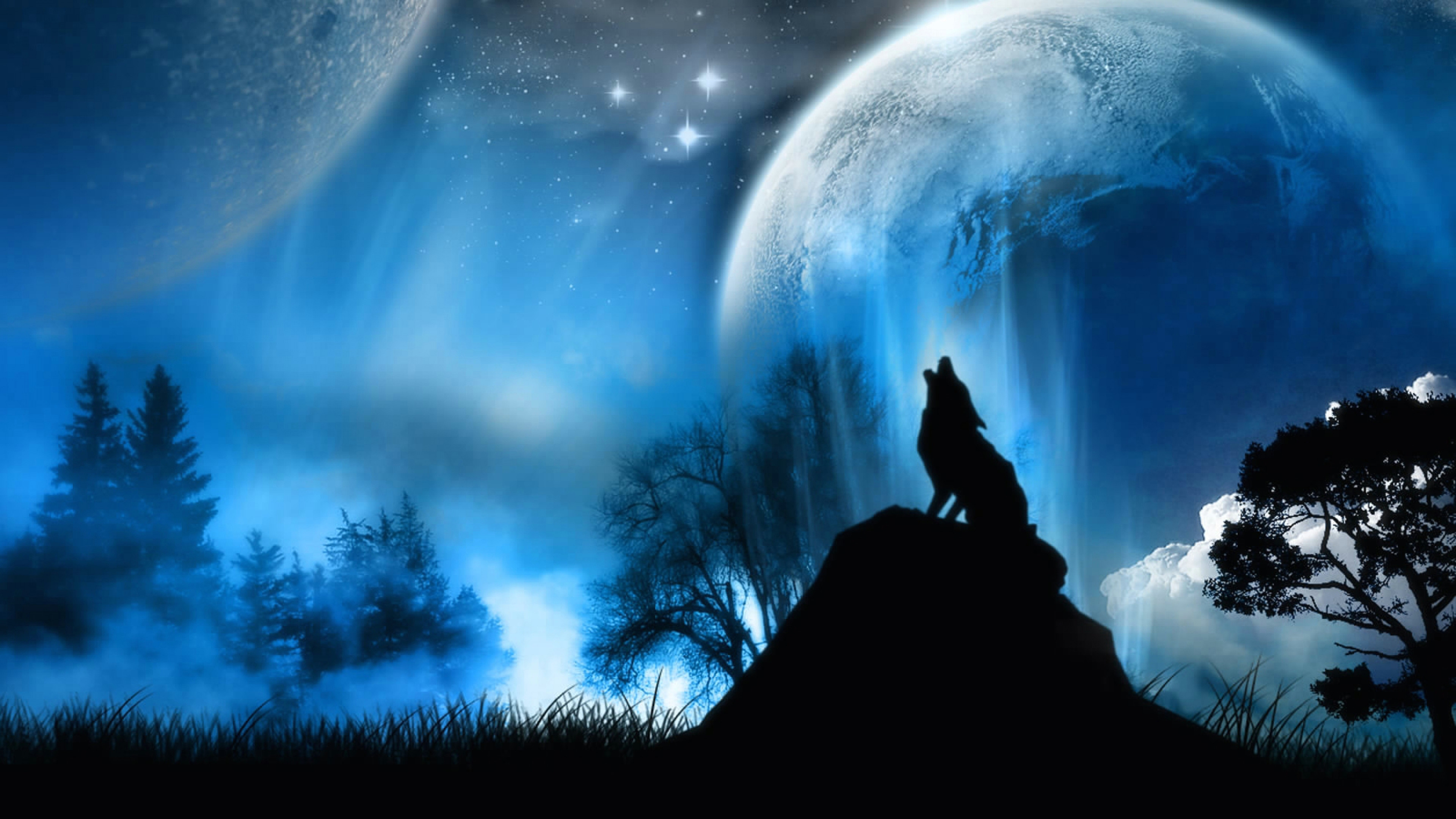 Wolf Drawing Wallpaper 4k 4k Wolf Wallpaper Wallpapersafari