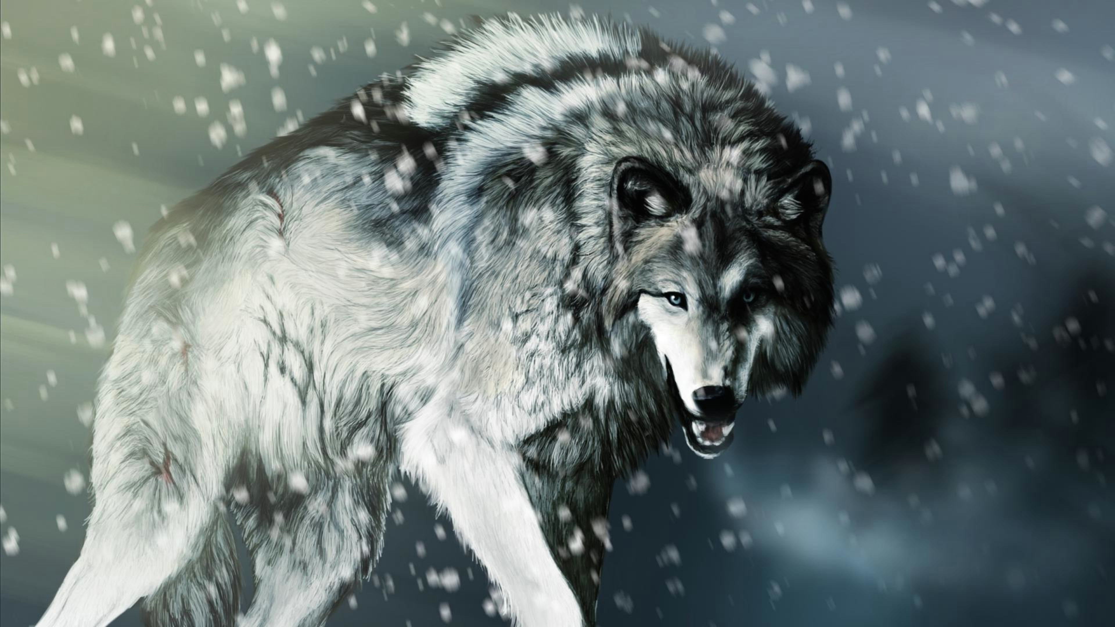 Wolf Drawing Wallpaper 4k 58 4k Wolf Wallpapers On Wallpaperplay