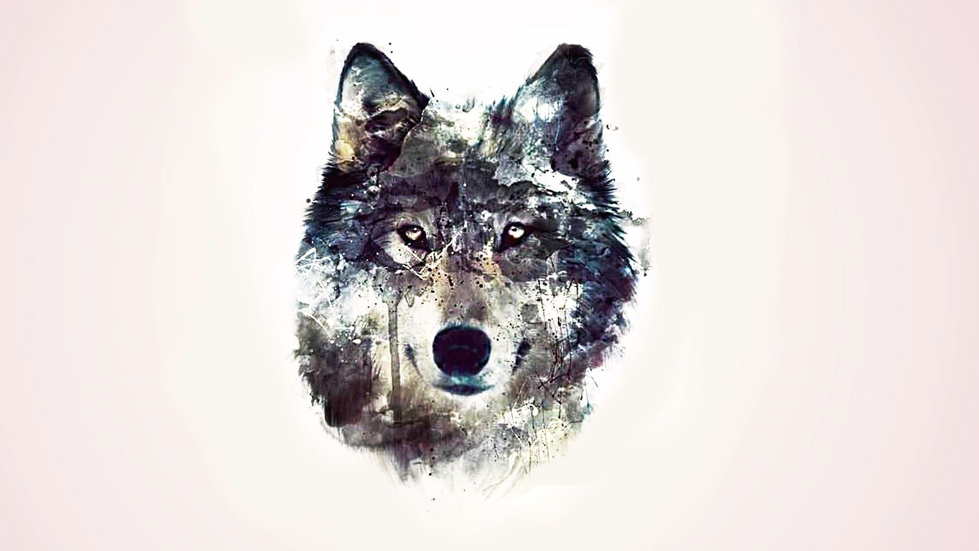 Wolf Drawing Wallpaper 4k Drawing Wallpapers Wallpaper Cave