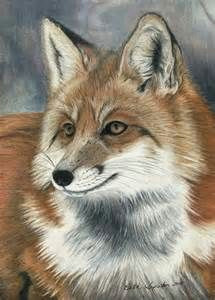 Wolf Drawing with Color 244 Best Colored Pencil Art Fox Images Color Pencil Art Fox