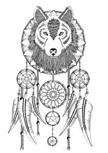 Wolf Drawing with Dream Catcher 163 Best Dreamcatcher Coloring Pages for Adults Images In 2019