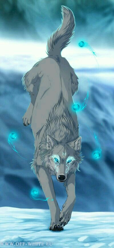 Wolf Drawing with Name Hello Young Pups My Name is Midnight I Am Immortal and is the