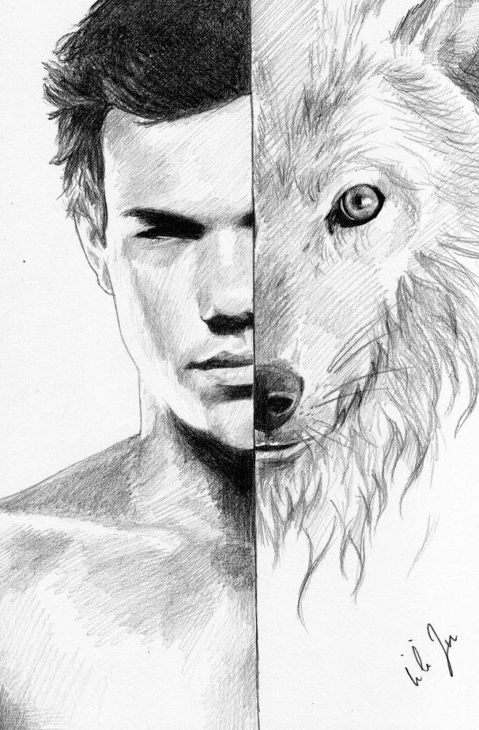 Wolf Fan Art Drawing Twilight Fan Art by Lili Ju Twilight Twili