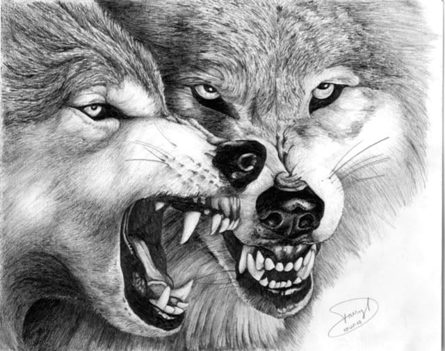 Wolf Jaw Drawing Hungry Wolfs My Art and Graphics Pinterest Wolf Wolf