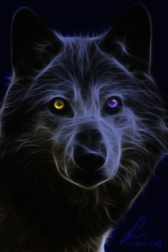 Wolf Mating Drawing Die 685 Besten Bilder Von Wolf Wolf Pictures Wolves Und Drawings