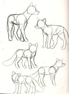 Wolf Muzzle Drawing Die 125 Besten Bilder Von Wolf Zeichnung In 2019 Animal Drawings