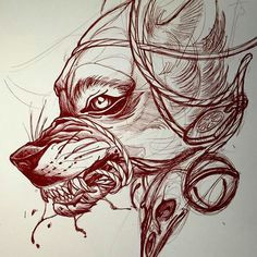 Wolf Neo Trad Drawing 528 Best Tattoo Flash Images Drawings Drawing S Neo Traditional