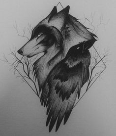 Wolf Raven Drawing 115 Best Raven and Wolf Images Cutest Animals Animals Beautiful