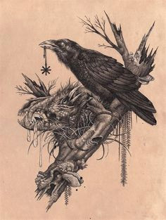 Wolf Raven Drawing 260 Best Wolf and Raven Images Native American Indians Raven Art