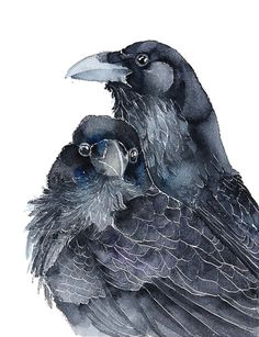 Wolf Raven Drawing 96 Best Wolf and Raven Images In 2019 Raven Animal Drawings