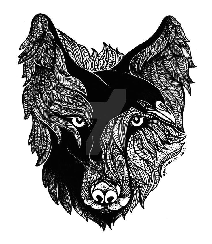 Wolf Raven Drawing Raven Feathers Wolf Head Tattoo Design Tattoos Tattoos Raven