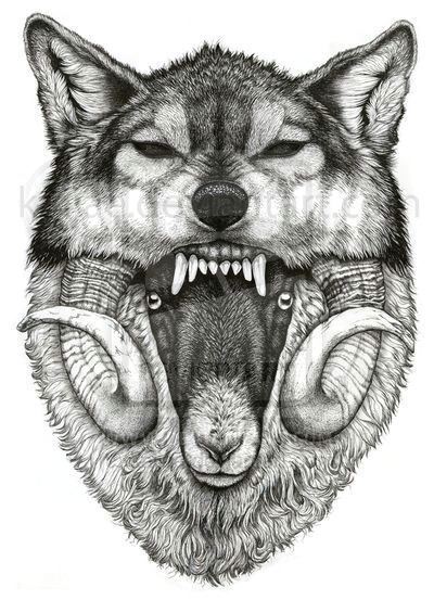 Wolf Roaring Drawing Pin by Henry Gonzalez On Tattoos Tattoos Wolf Tattoos Art