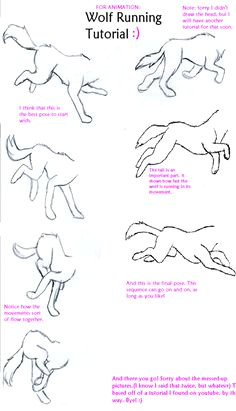 Wolf Running Drawing Easy 109 Best Wolf Images Wolf Drawings Art Drawings Draw Animals