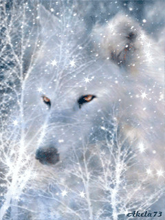 Wolf Running Drawing Gif France Manon Michaud Google Animal Gifs Wolf Wolf Pictures
