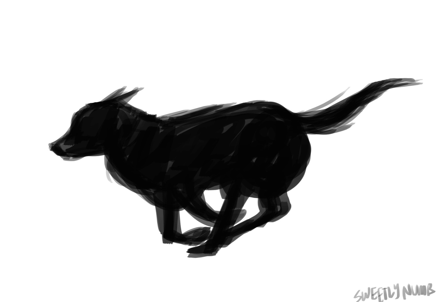 Wolf Running Drawing Gif Gif Running Animated Gif On Gifer by Malodwyn