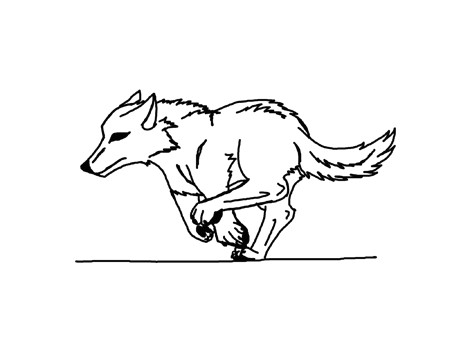 Wolf Running Drawing Gif Scratch Search