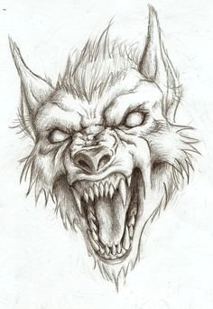 Wolfman Drawing 53 Best Werewolf Drawings Images Werewolf Werewolves Fantasy Art