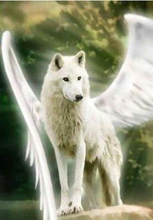 Wolves Draw Bias 106 Best Winged Wolves Images Wolves Drawings Anime Wolf