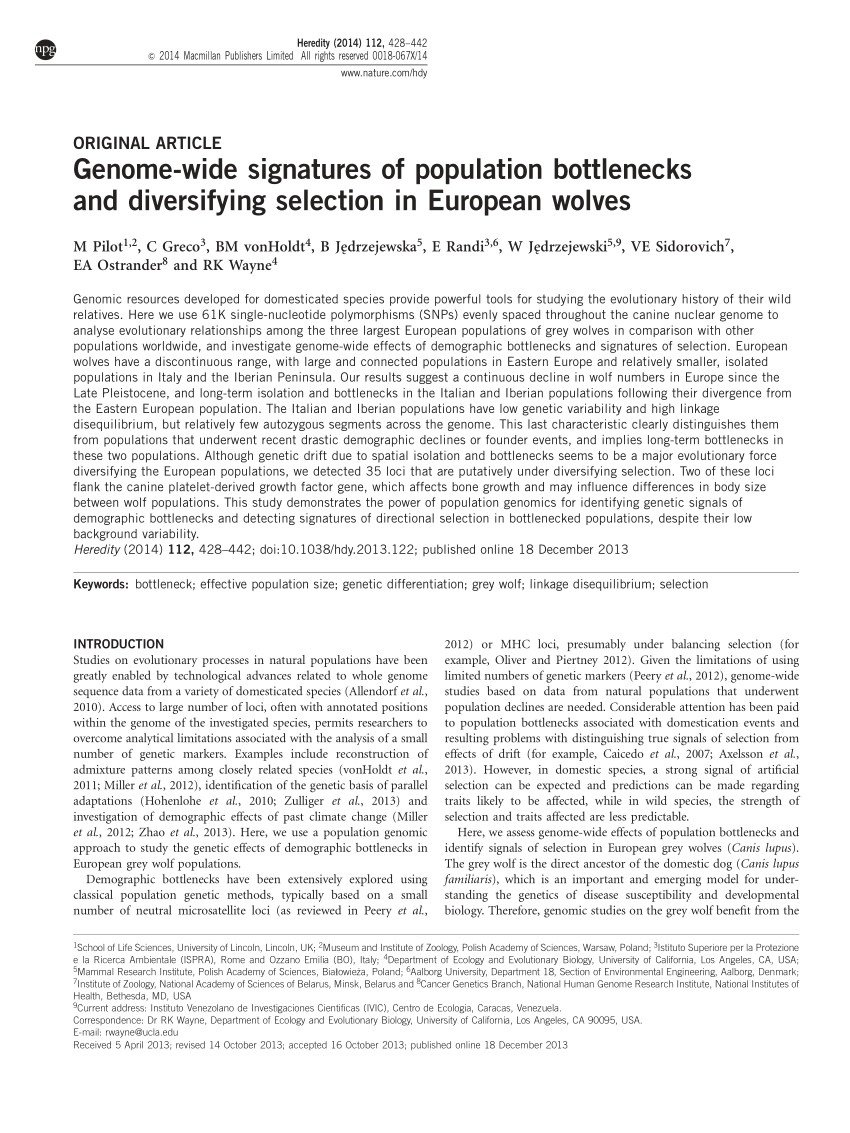 Wolves Draw Bias Pdf Genome Wide Signatures Of Population Bottlenecks and