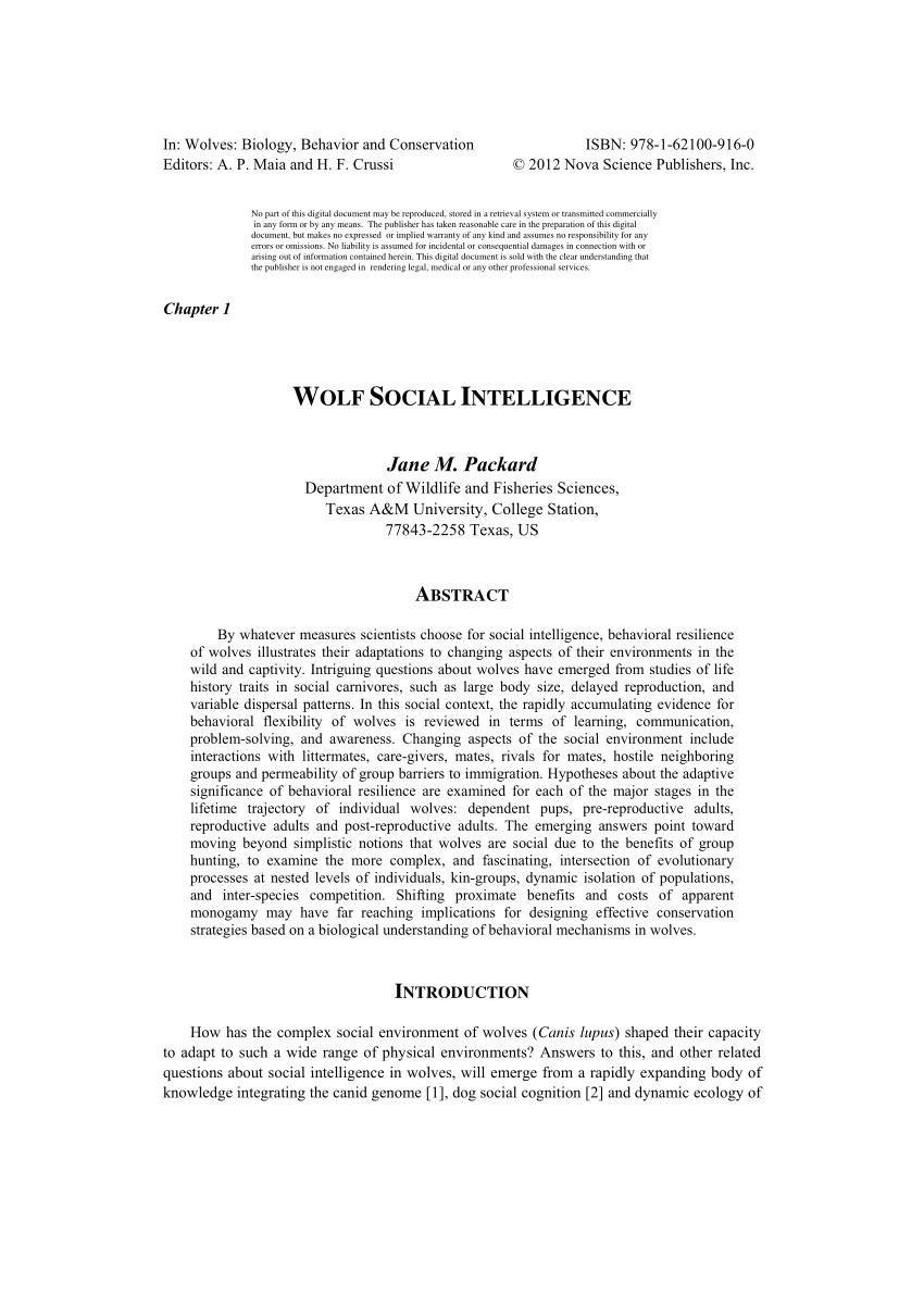 Wolves Draw Bias Pdf Wolf social Intelligence