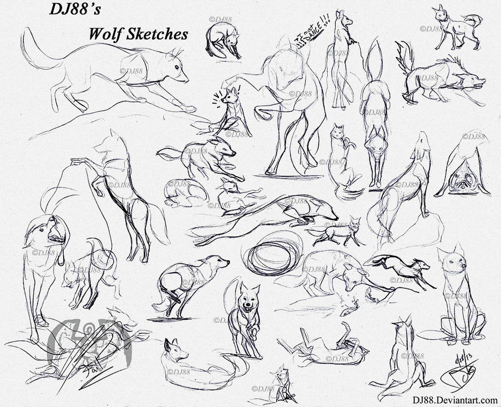 Wolves Drawing Reference Wolf Sketches 8 28 13 by Dj88 Drawing Studies Drawings Wolf