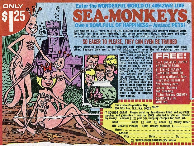 X Ray Cartoon Drawing Sea Monkeys and X Ray Spex Collecting the Bizarre Stuff sold In the