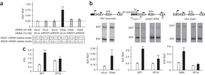 Y Splice Drawing Control Of Alternative Splicing Through Sirna Mediated